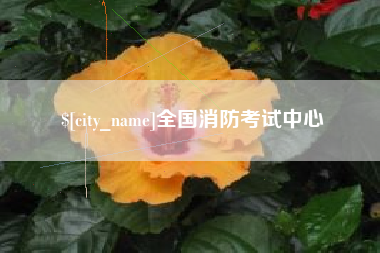 泉州全国消防考试中心