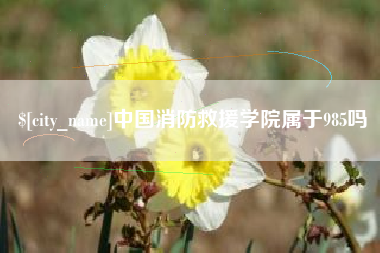 泉州中国消防救援学院属于985吗