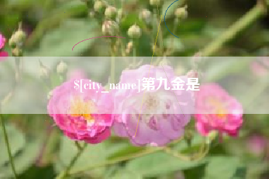 泉州第九金是