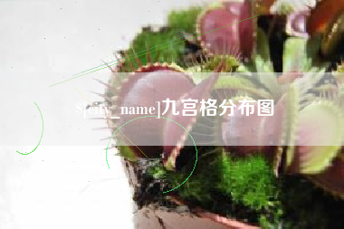 泉州九宫格分布图