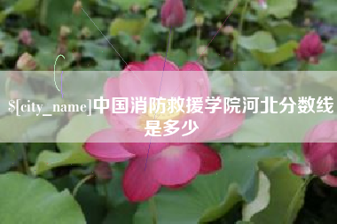 泉州中国消防救援学院河北分数线是多少
