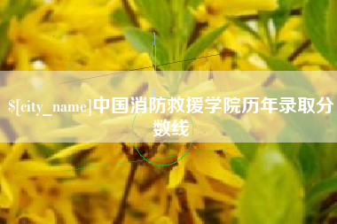 泉州中国消防救援学院历年录取分数线