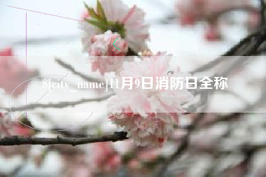 泉州11月9日消防日全称
