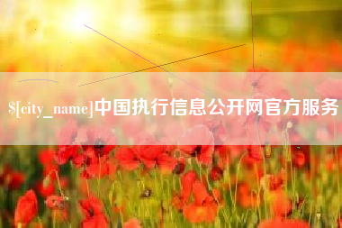 泉州中国执行信息公开网官方服务