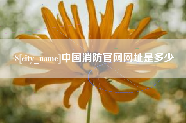 泉州中国消防官网网址是多少