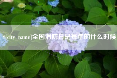 泉州全国消防日是每年的什么时候