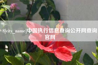 泉州中国执行信息查询公开网查询官网