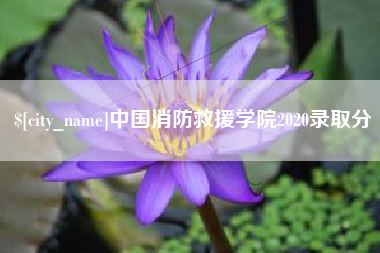 泉州中国消防救援学院2020录取分
