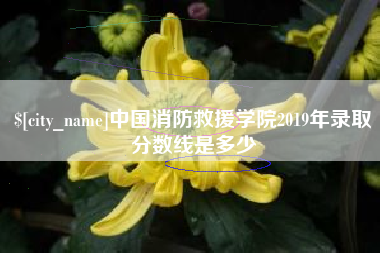 泉州中国消防救援学院2019年录取分数线是多少