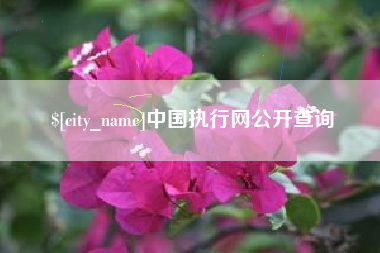 泉州中国执行网公开查询