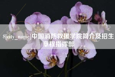 泉州中国消防救援学院简介及招生章程指挥部