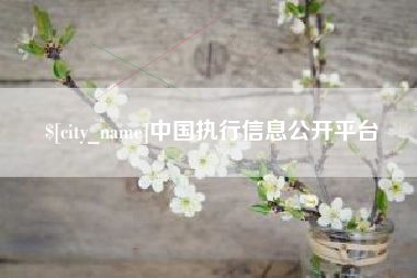 泉州中国执行信息公开平台