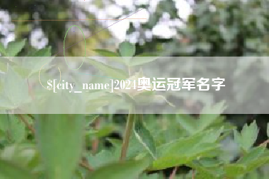 泉州2024奥运冠军名字
