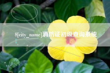 泉州消防证初级查询系统