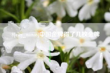 泉州中国金牌得了几枚金牌