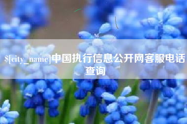 泉州中国执行信息公开网客服电话查询