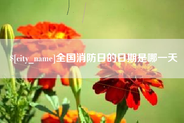 泉州全国消防日的日期是哪一天