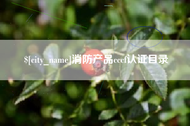 泉州消防产品cccf认证目录