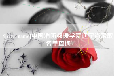 泉州中国消防救援学院辽宁省录取名单查询