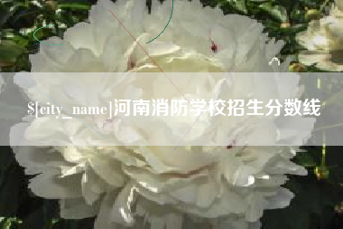 泉州河南消防学校招生分数线