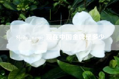 泉州现在中国金牌是多少