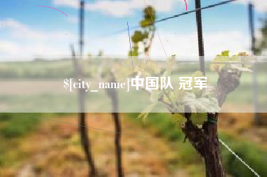 泉州中国队 冠军