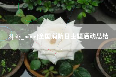 泉州全国消防日主题活动总结