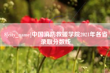 泉州中国消防救援学院2021年各省录取分数线