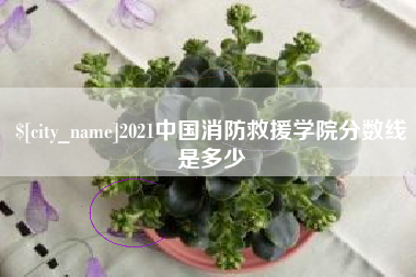 泉州2021中国消防救援学院分数线是多少
