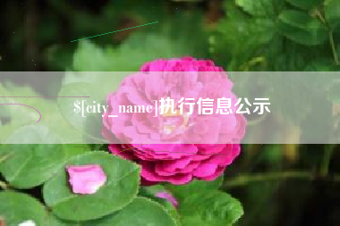 泉州执行信息公示