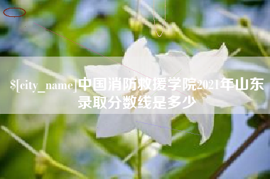 泉州中国消防救援学院2021年山东录取分数线是多少