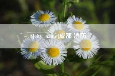 泉州成都 消防