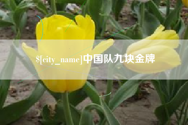 泉州中国队九块金牌