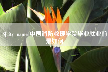 泉州中国消防救援学院毕业就业前景如何