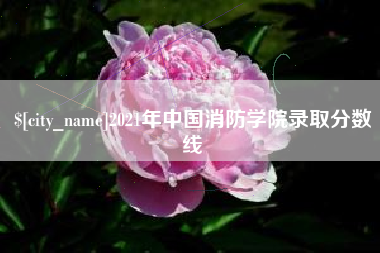 泉州2021年中国消防学院录取分数线