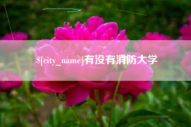 泉州有没有消防大学