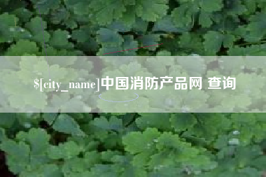 泉州中国消防产品网 查询