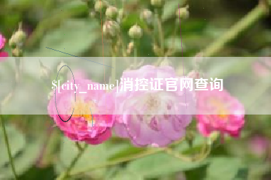 泉州消控证官网查询