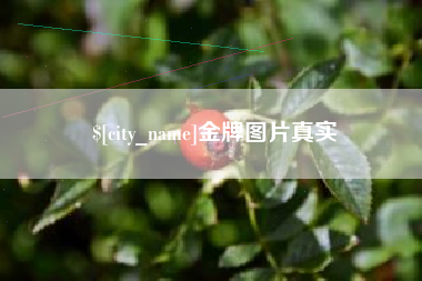 泉州金牌图片真实