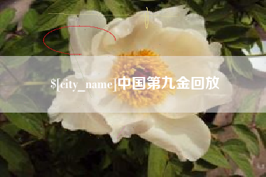 泉州中国第九金回放
