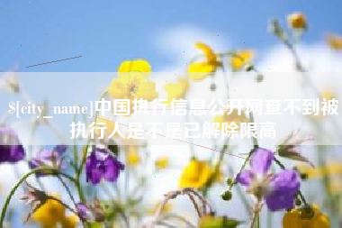 泉州中国执行信息公开网查不到被执行人是不是已解除限高