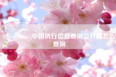 泉州中国执行信息查询公开网怎么查询