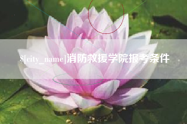 泉州消防救援学院报考条件