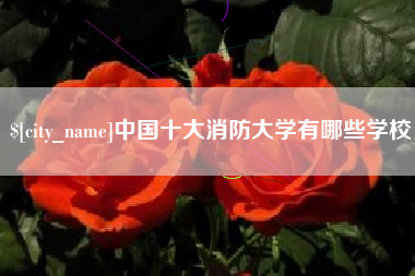 泉州中国十大消防大学有哪些学校