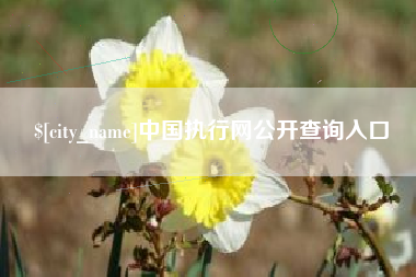泉州中国执行网公开查询入口