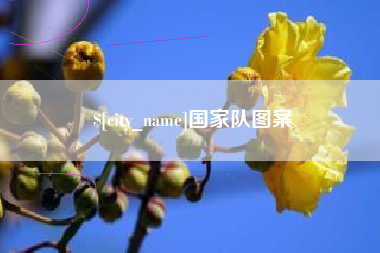 泉州国家队图案