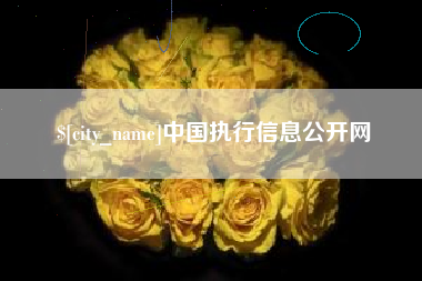 泉州中国执行信息公开网
