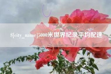 泉州5000米世界纪录平均配速