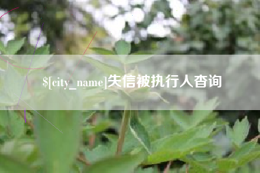 泉州失信被执行人杳询