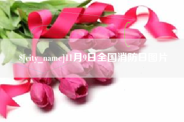 泉州11月9日全国消防日图片